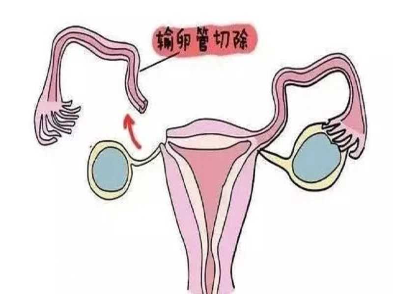 江苏正规供卵试管医院排名，徐州市妇幼
